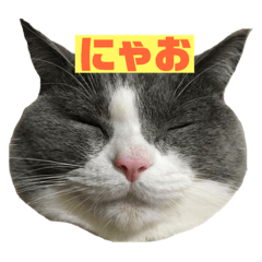[LINEスタンプ] うにょにょ。スタンプpart2