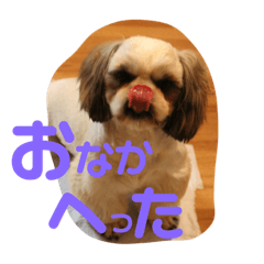 [LINEスタンプ] ししまるくん1