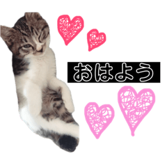[LINEスタンプ] ちーくんスタンプpt3