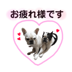 [LINEスタンプ] わんわんスタンプ 1 