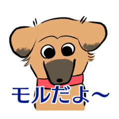 [LINEスタンプ] MoneKuroAnnyoMoru