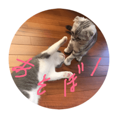 [LINEスタンプ] ばるにゃんの会 日常会話用① 
