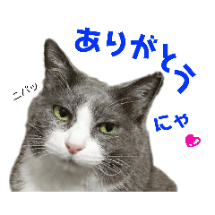 [LINEスタンプ] ちっちゃいの達といっしょ♪ 
