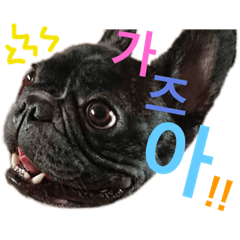 [LINEスタンプ] 연탄이(よんたん) 