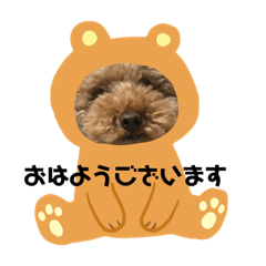 [LINEスタンプ] 池田ぱんちスタンプ 