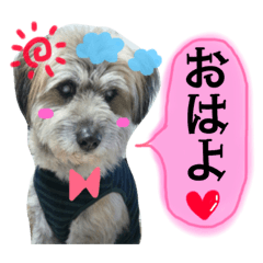 [LINEスタンプ] ロロのキモチ