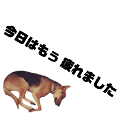 [LINEスタンプ] 野犬ムク2 