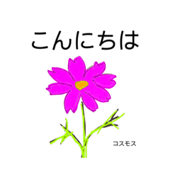 [LINEスタンプ] 季節の可愛いお花のスタンプ