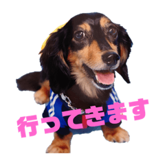 [LINEスタンプ] 小島家 スタンプ part1 