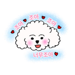 [LINEスタンプ] ビションフリーゼの男の子(韓国語ver.)
