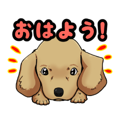 [LINEスタンプ] ワンわんスタンプ 