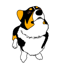 [LINEスタンプ] 黒コーギーの光太郎 