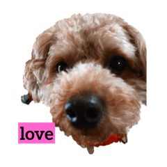[LINEスタンプ] ろくすけ❤ 