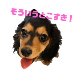 [LINEスタンプ] 気持ち代弁犬