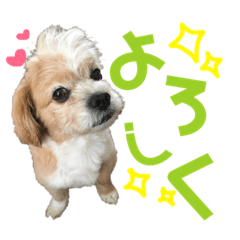 [LINEスタンプ] ☆たくandしょう☆ 