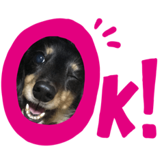 [LINEスタンプ] イッヌさま