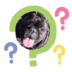 [LINEスタンプ] ジェッコ