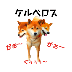 [LINEスタンプ] 柴と猫とダックスフンド