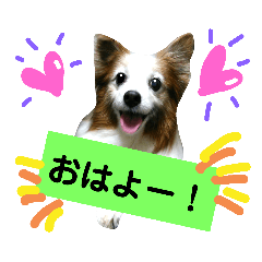 [LINEスタンプ] パピヨン2