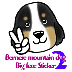 [LINEスタンプ] Bernese Mountain Dog Big face sticker！2