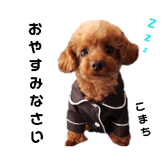 [LINEスタンプ] 愛犬こまち1