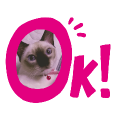 [LINEスタンプ] チロル家の日常 