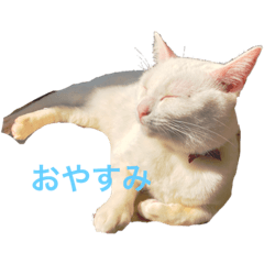 [LINEスタンプ] ひろしスタンプ1 