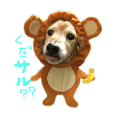 [LINEスタンプ] Lai すたんぷ☺︎ 