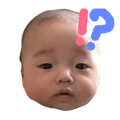 [LINEスタンプ] ぽんぽんきち