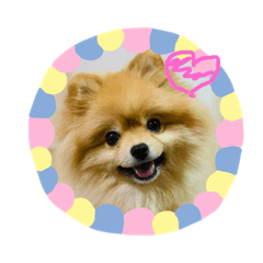 [LINEスタンプ] ルークのにくきゅう