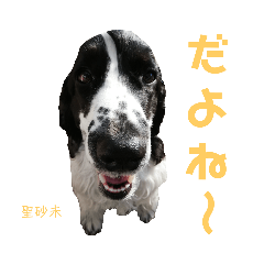 [LINEスタンプ] みんな仲良しインギーズだよ全員集合 vol.3