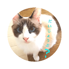 [LINEスタンプ] しお大福の味vol.3