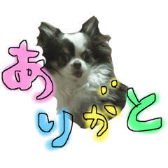 [LINEスタンプ] ハテナくんスタンプパート2