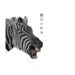 [LINEスタンプ] 動物達の気持ちになりました