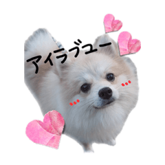 [LINEスタンプ] むうです。