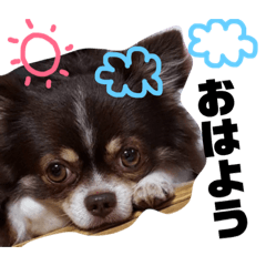 [LINEスタンプ] たむ助