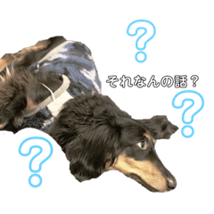 [LINEスタンプ] もふもふのお友達〜vol.1〜