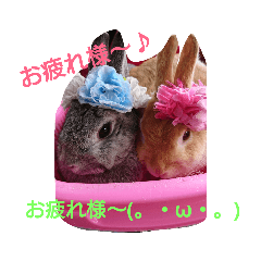 [LINEスタンプ] yuutan cafe