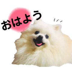 [LINEスタンプ] 大好きはなちゃんスタンプ