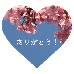 [LINEスタンプ] 桜 スタンプ