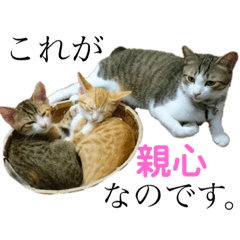 [LINEスタンプ] おいらくんのお友達3