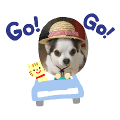 [LINEスタンプ] ミックス犬キナゴーと仲間たち第2弾