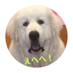 [LINEスタンプ] キュートなグレピ