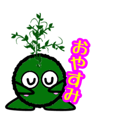 [LINEスタンプ] 苔丸クン  Ver.Ⅱ
