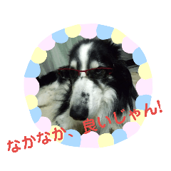 [LINEスタンプ] 愛犬猫たちのつぶやき
