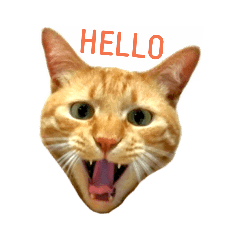 [LINEスタンプ] 茶トラ 猫 cat スタンプ