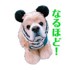 [LINEスタンプ] アメコカFuuta③