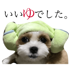[LINEスタンプ] 三浦家の愉快な仲間達