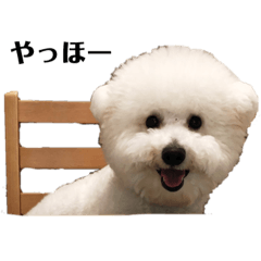 [LINEスタンプ] リンツの日常