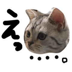 [LINEスタンプ] 可愛い陽菜ちゃんスタンプ